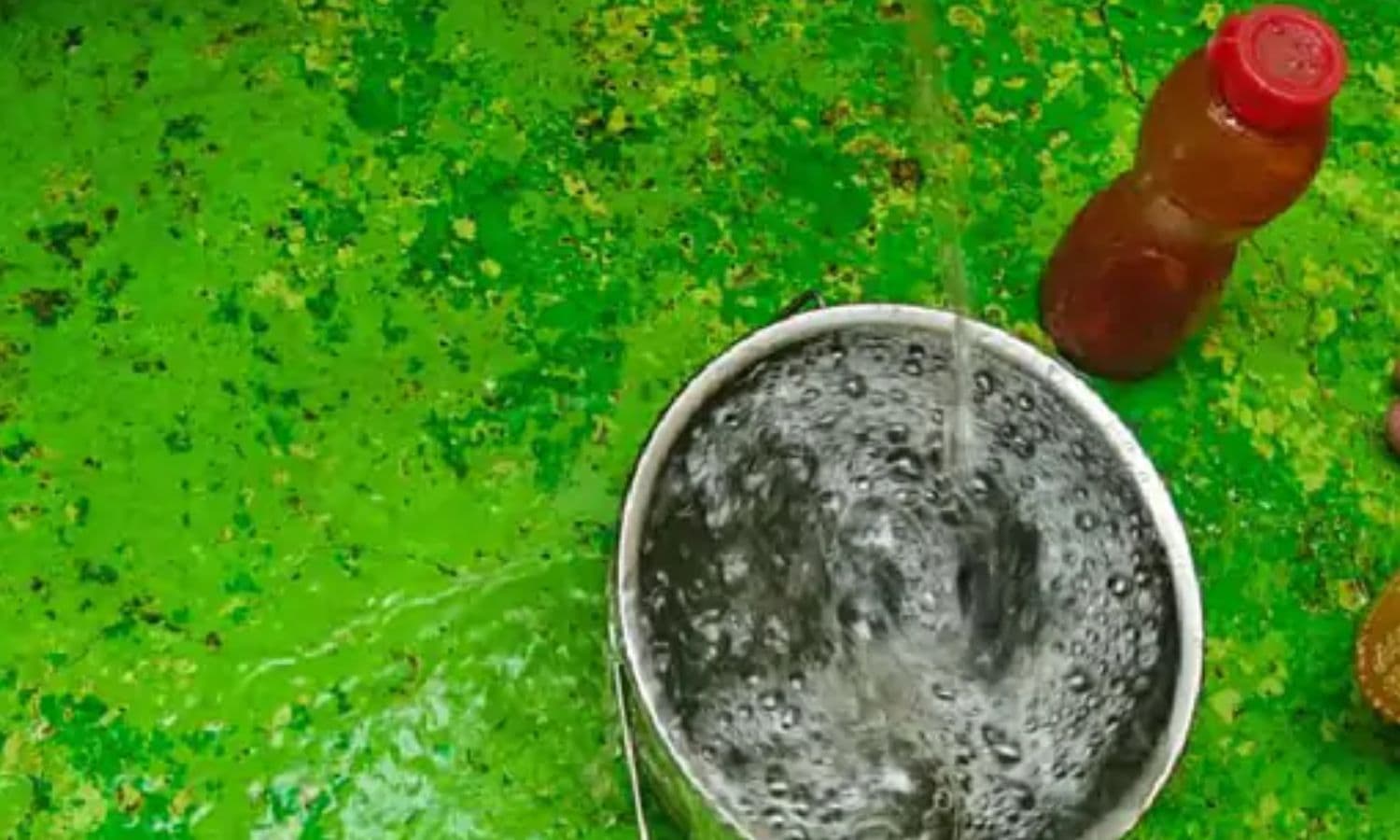 MP Contaminated Water : जबलपुर में दूषित पानी का बड़ा खुलासा! NGT ने कलेक्टर-निगम को दी फटकार, 2 हफ्ते में मांगी रिपोर्ट